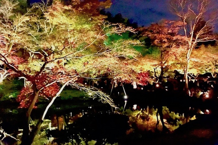京都高台寺紅葉