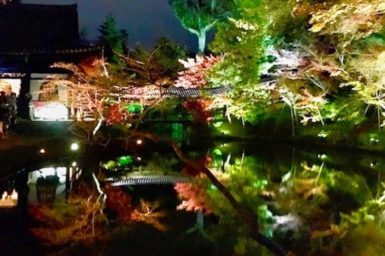 京都紅葉高台寺ライトアップ